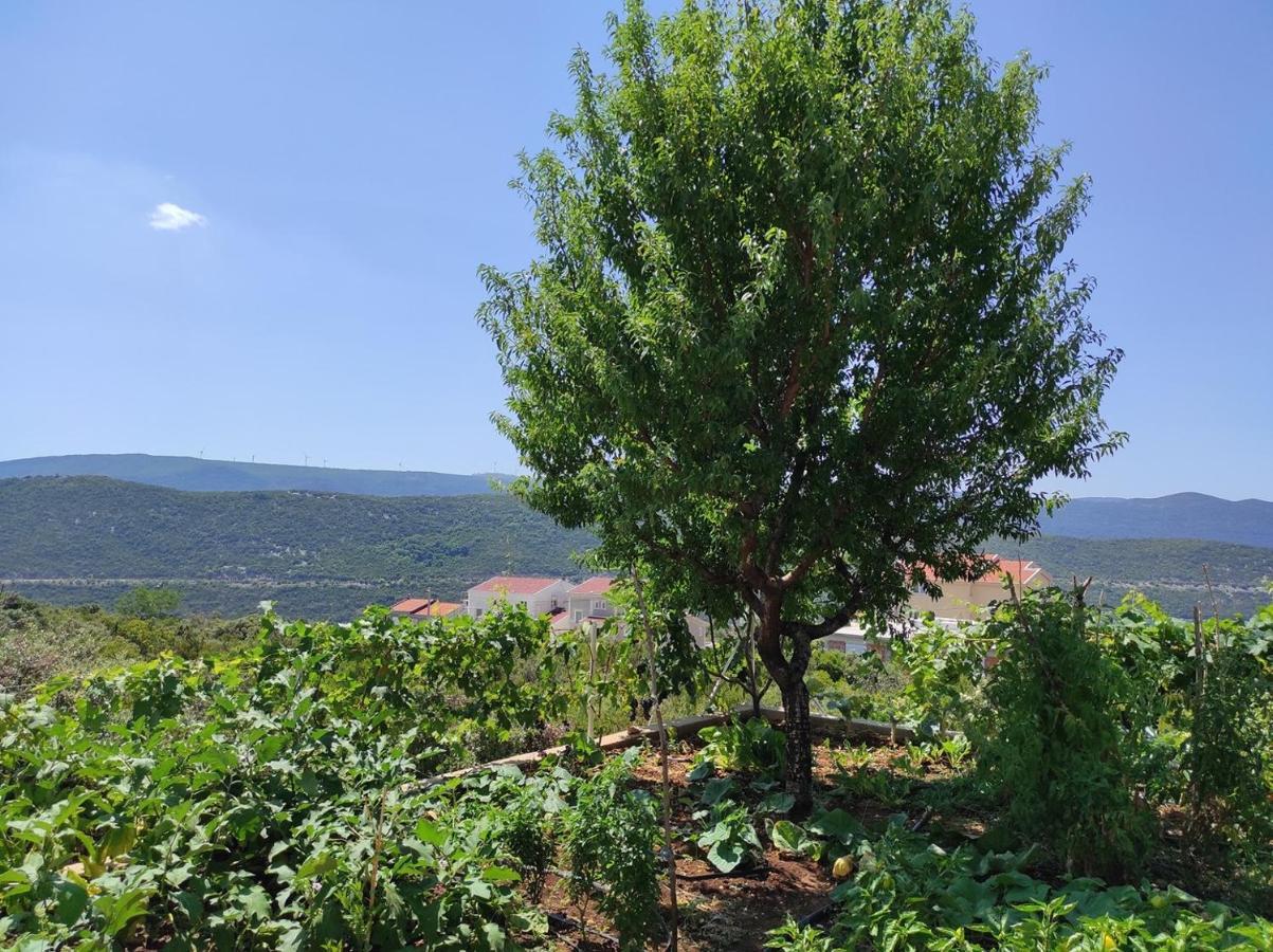 One Bedroom Apartment Gogo With Private Parking Neum Exterior photo